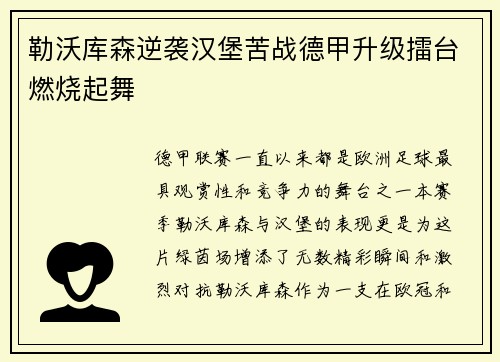 勒沃库森逆袭汉堡苦战德甲升级擂台燃烧起舞